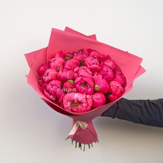 Пионы Корал Шарм Premium 25 шт.