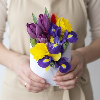 Мини-композиция из ирисов Мини-композиция из ирисов