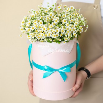 Полевые ромашки в шляпной коробке