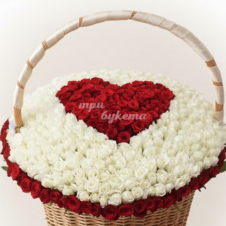 Сердце из 501 розы