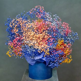 Коробка из 25 цветных гипсофил